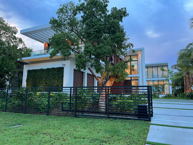 The Pine Tree Project: Exclusive Miami Beach Estate